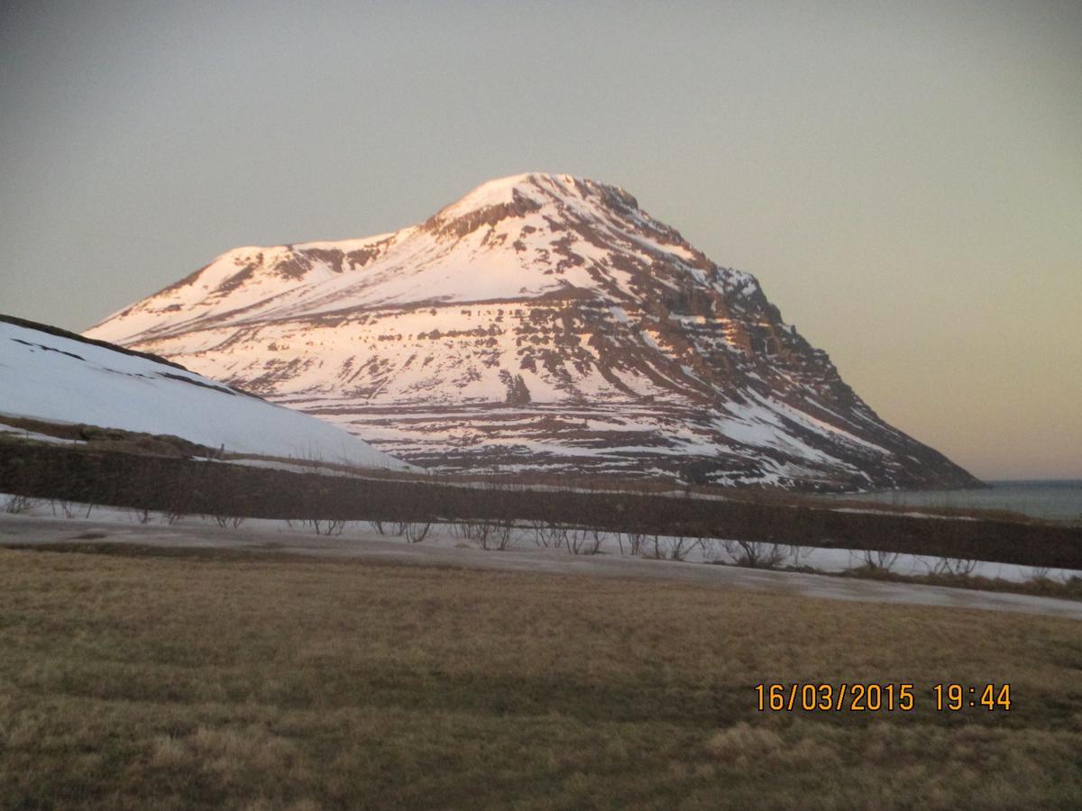 Smyrill Cottages Þórshöfn Exteriör bild
